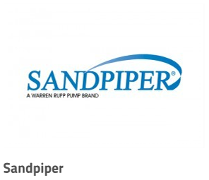 sandpiper